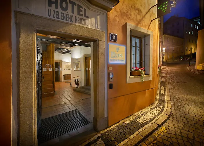 Hotel At The Green Grape Prag